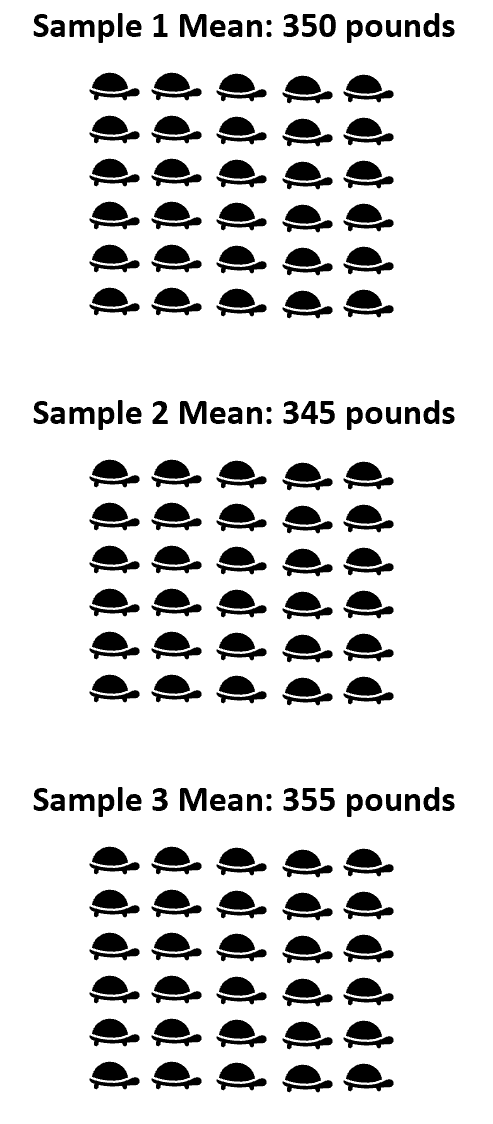Understanding Sampling Variability: A Statistical Analysis Guide ...